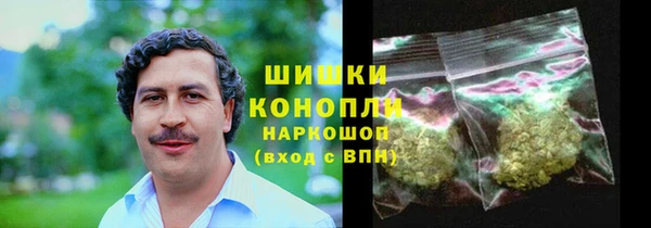 амф Пестово