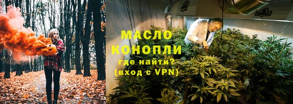 амф Пестово