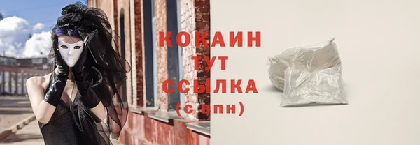 амф Пестово