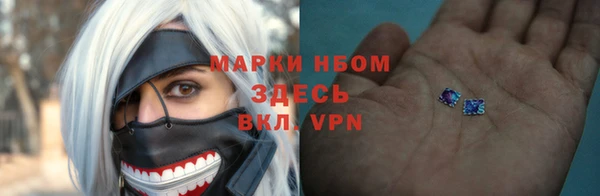 амф Пестово