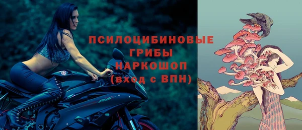 таблы Пересвет