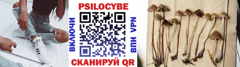 это наркотические препараты Иркутск Галлюциногенные грибы Psilocybine cubensis