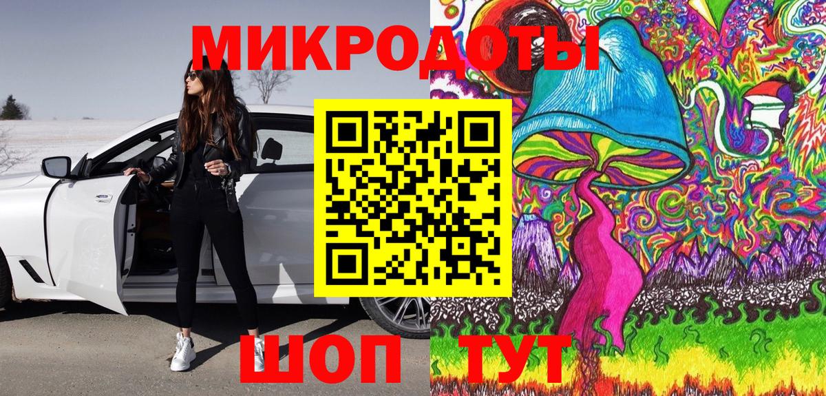 Псилоцибиновые грибы Psilocybe Иркутск